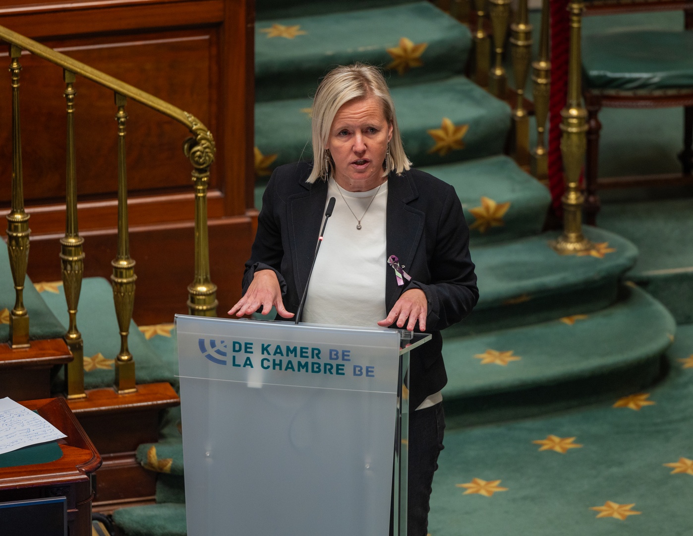 “De enige die van het abortusdossier een tapijtenhandel maakt is de minister zelf”